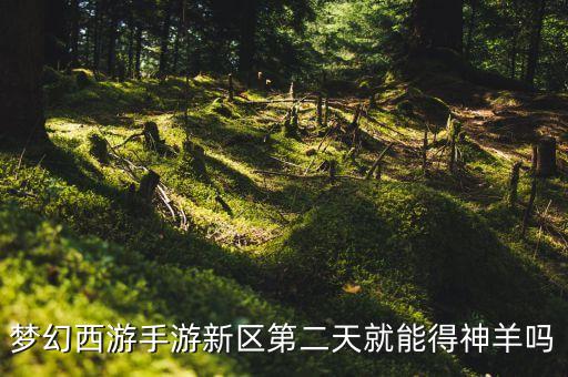 夢(mèng)幻手游生肖神羊怎么獲得，夢(mèng)幻西游手游新區(qū)第二天就能得神羊嗎...